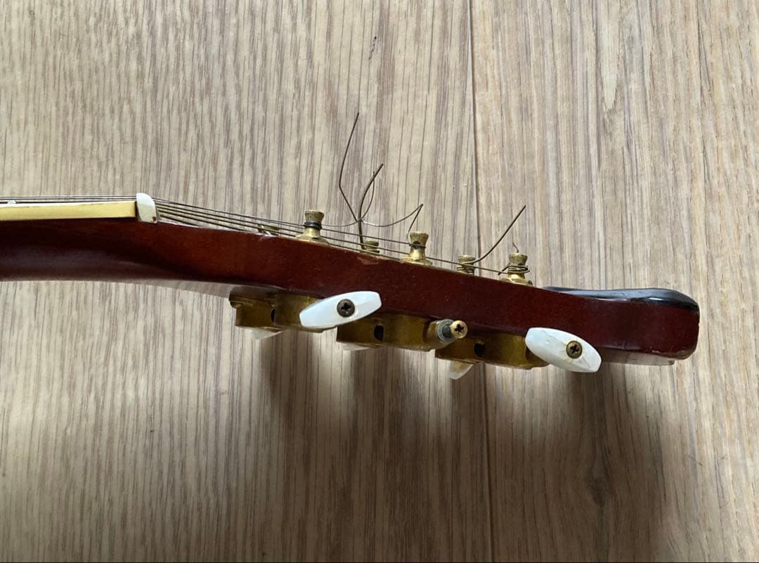 15日で削除 MORRIS TORNADO ZII ギター