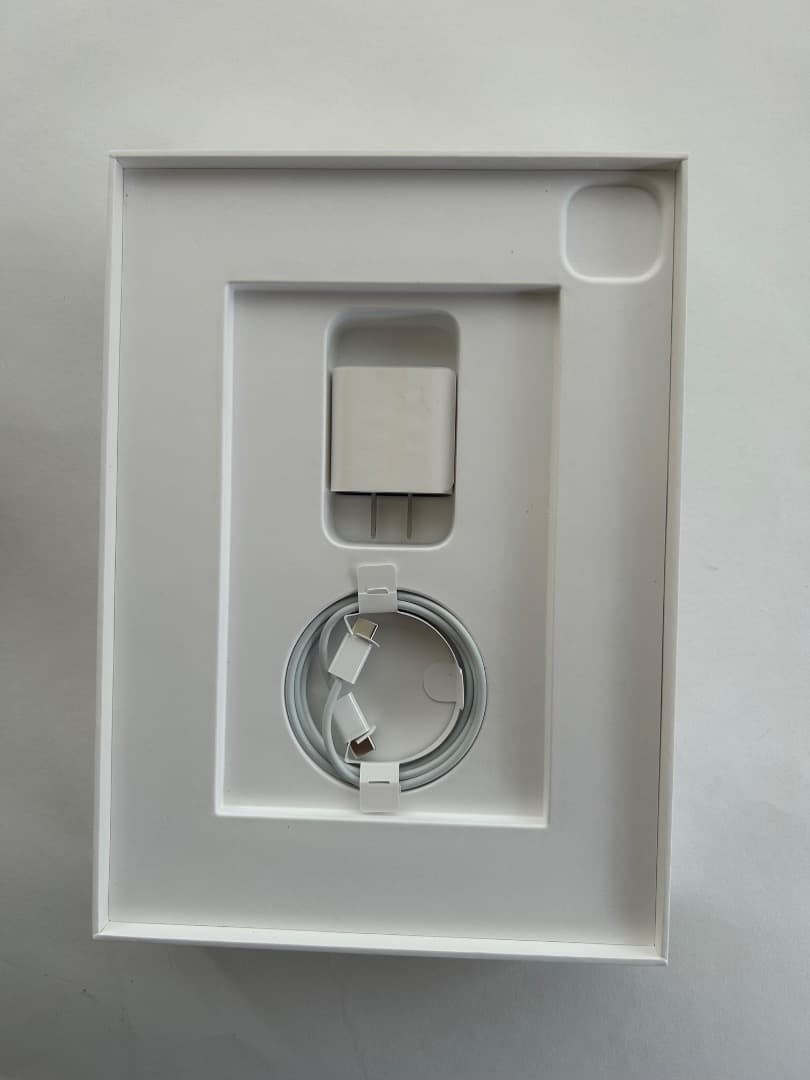 iPad Pro 本体 充電器・ケーブル付き バッテリー100％