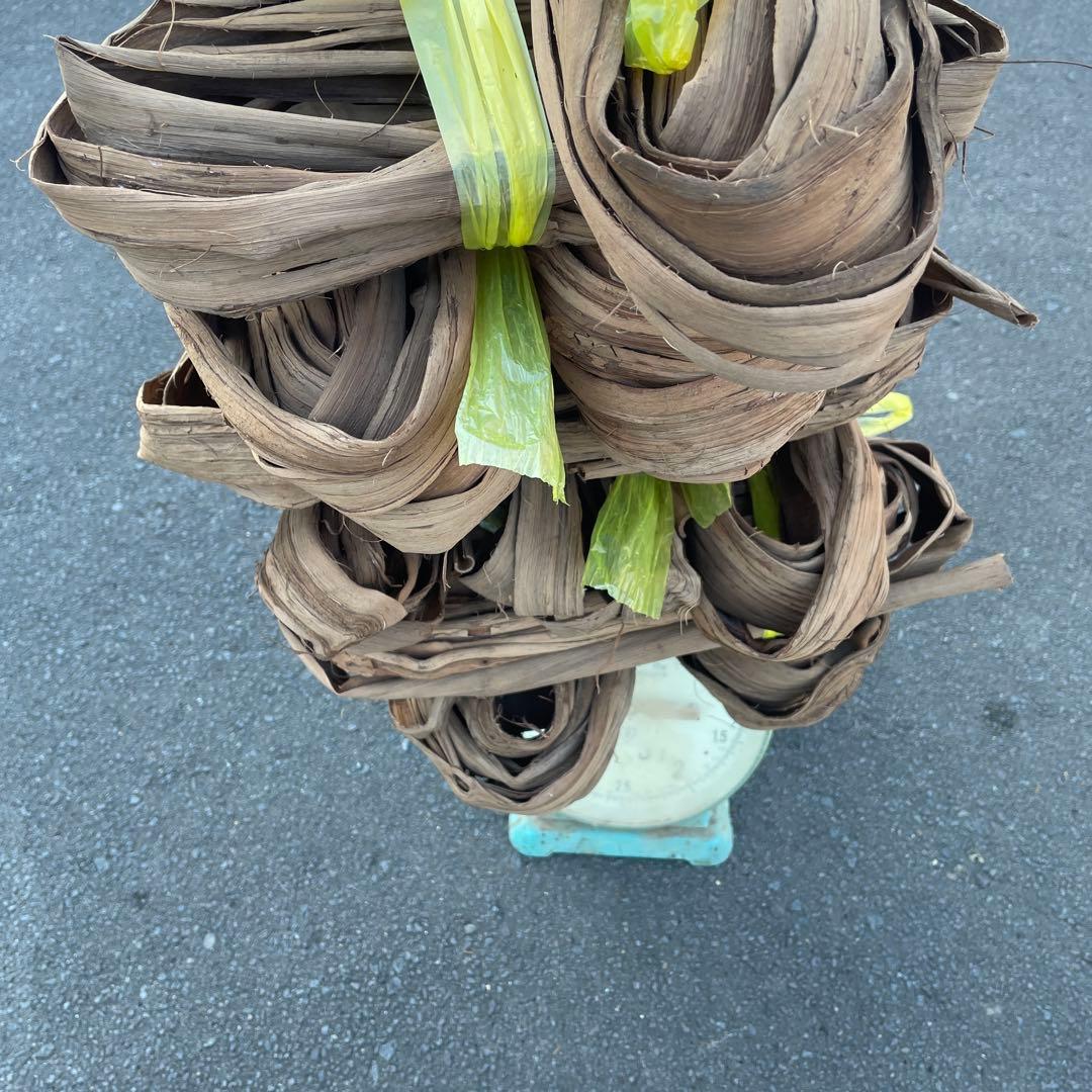 山葡萄　皮　約3キロ