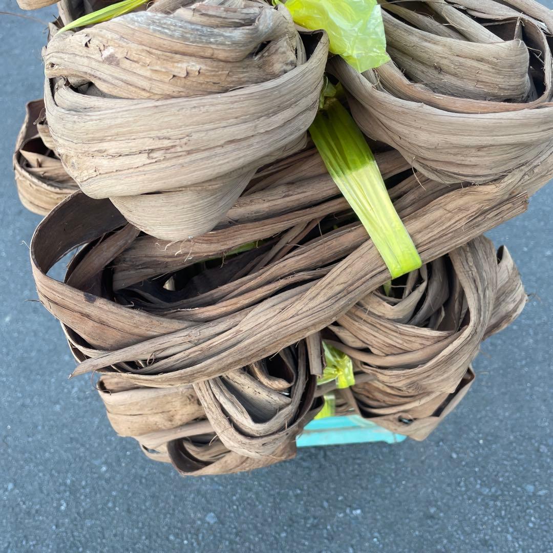 山葡萄　皮　約3キロ