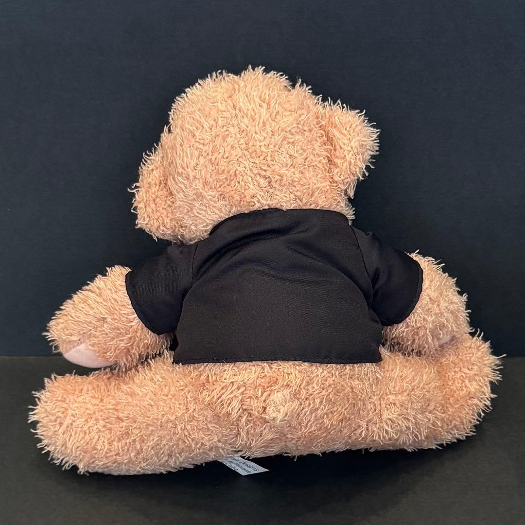 ミュージシャン Taylor Swift fearless teddy bear