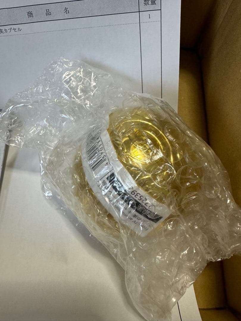 ワンピの実　金の実　金のワンピの実　当たりチケット　500名限定　激レア