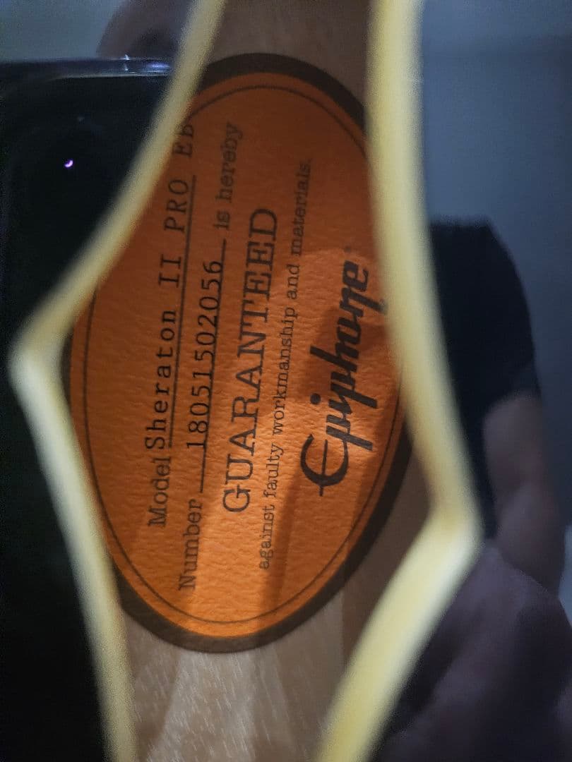 りささま専用Epiphone Sheraton II PRO ブラック