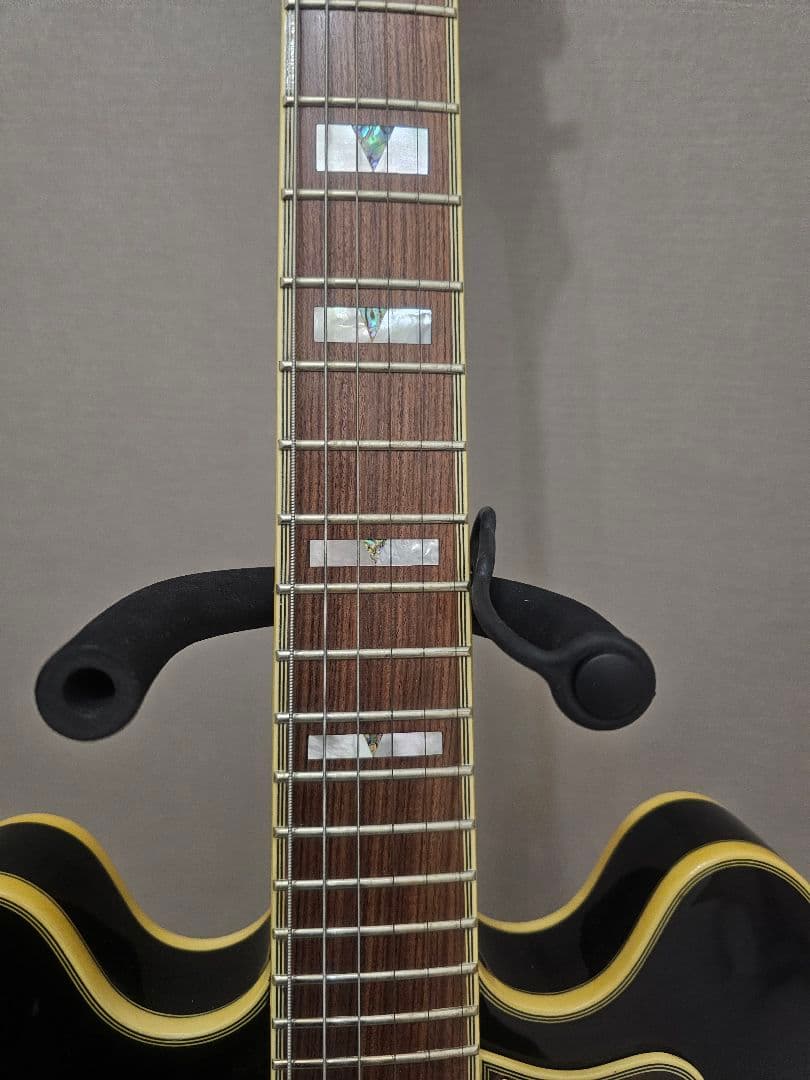 りささま専用Epiphone Sheraton II PRO ブラック