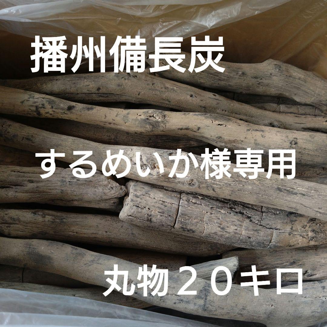 するめいか 丸物２０キロ