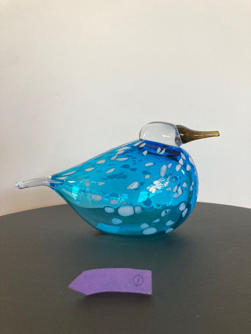 イッタラバード　ブルーフィンチ　Blue Finch  ①