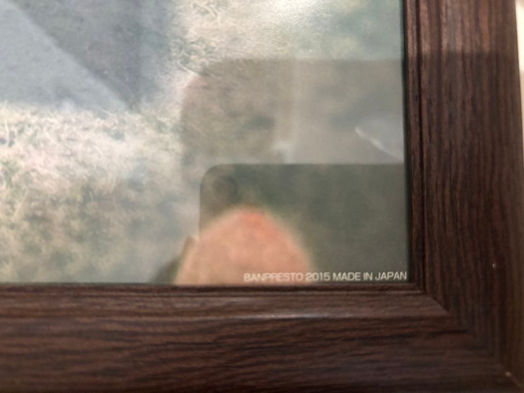 ONE PIECE ROMANCE DAWN ポスター　額縁付き