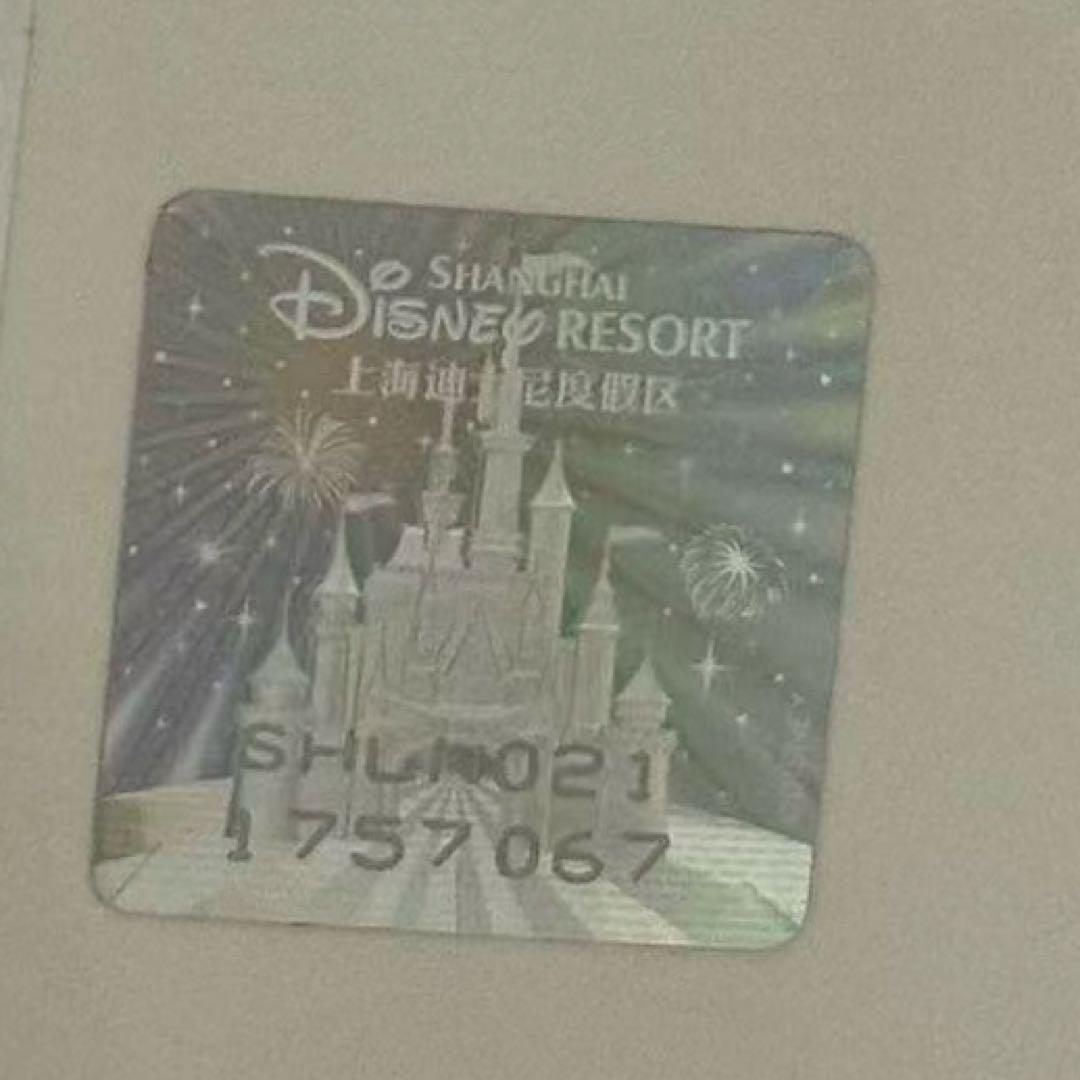 Rosé　お顔厳選　ディズニー　ミツバチクッキーアン　肩のせぬいぐるみ