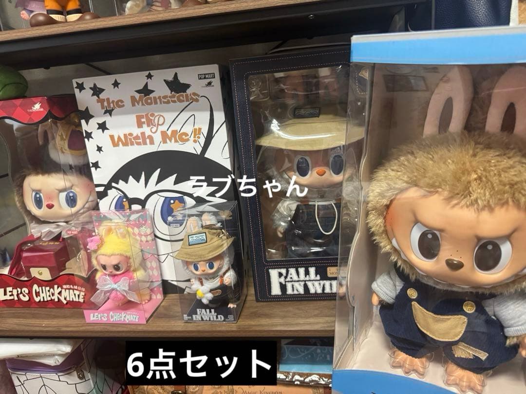 は*る様 ラブブ　The Monsters Labubu セット
