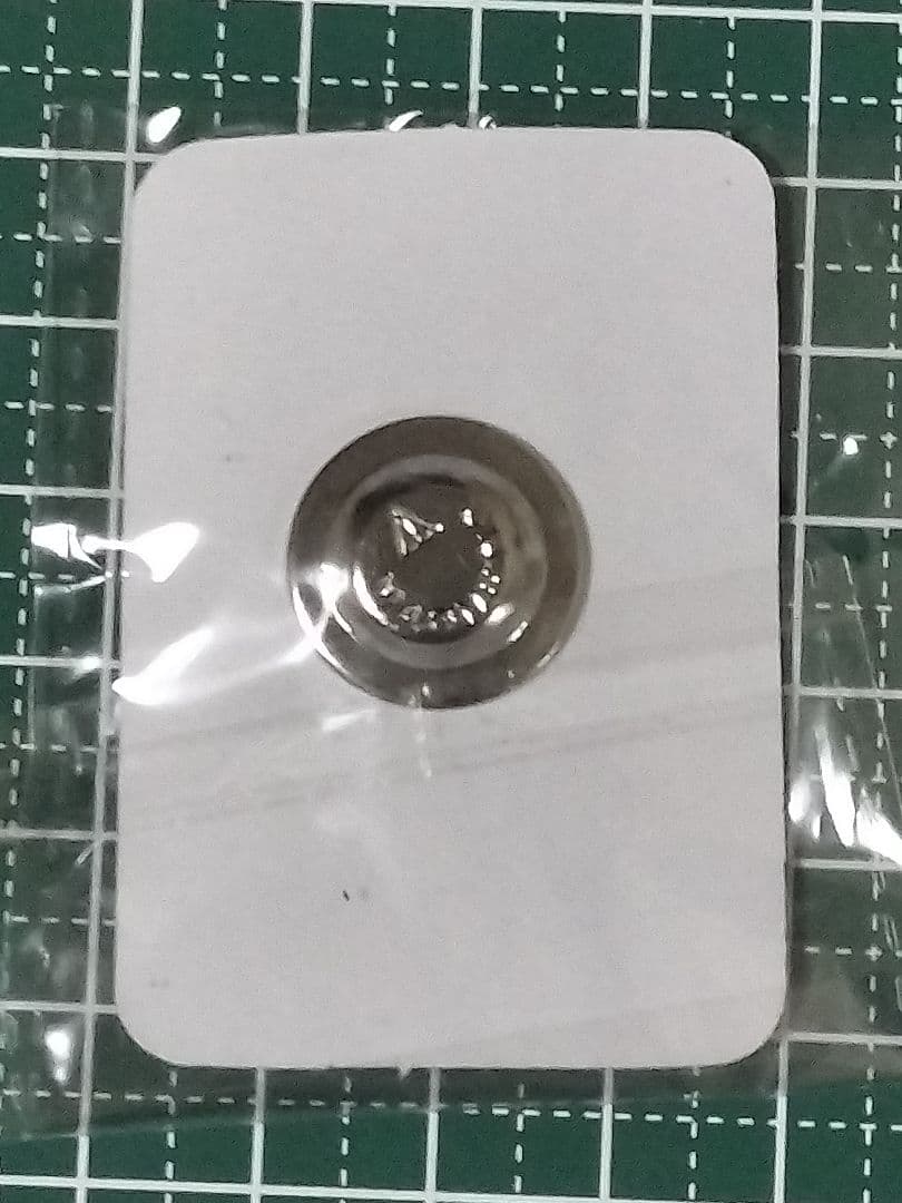 大阪・関西万博　バーラト インド BHARAT INDIA ピンバッジ