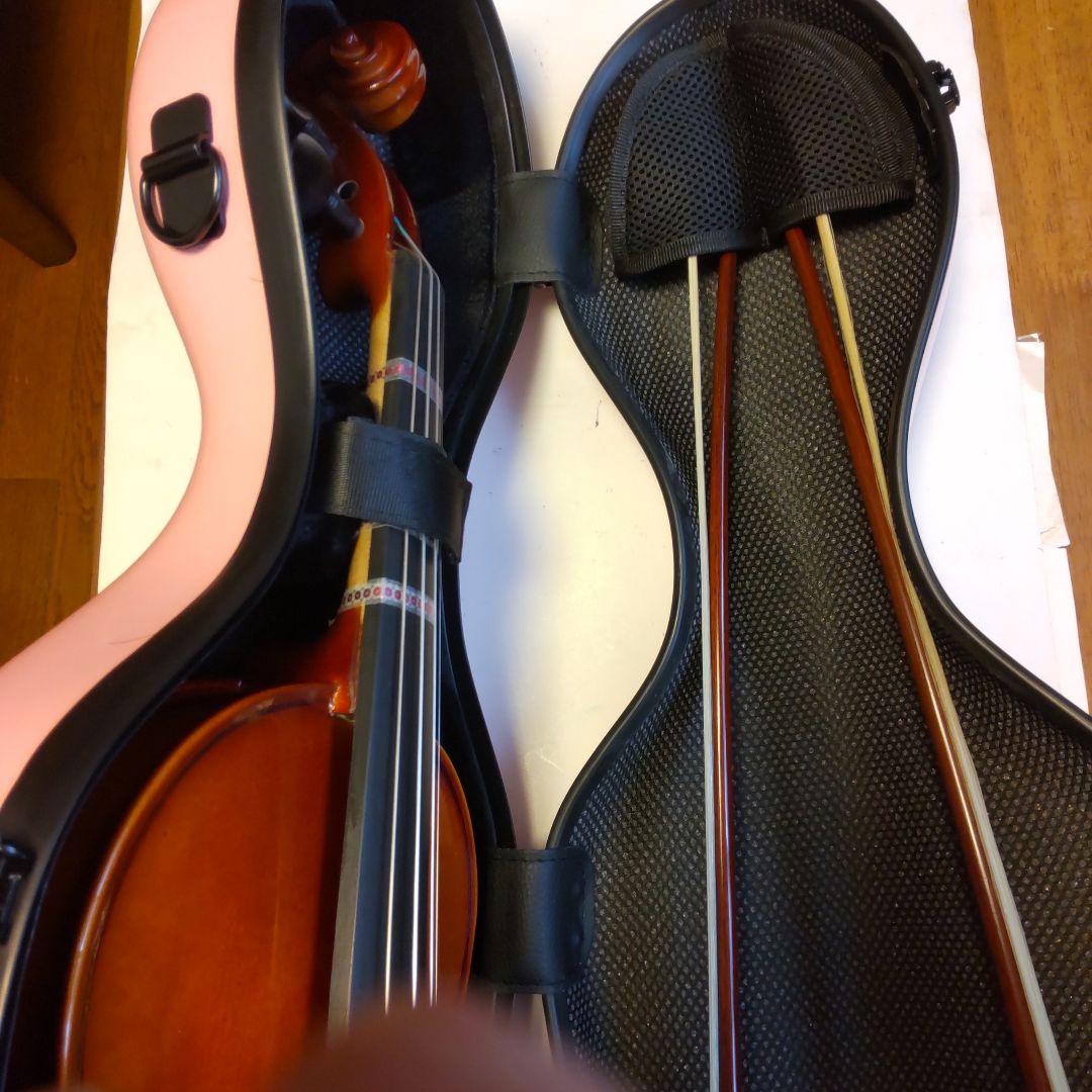 はなさん専用！バイオリン本体C.Giordanoカルロジョルダーノ木製手工芸品