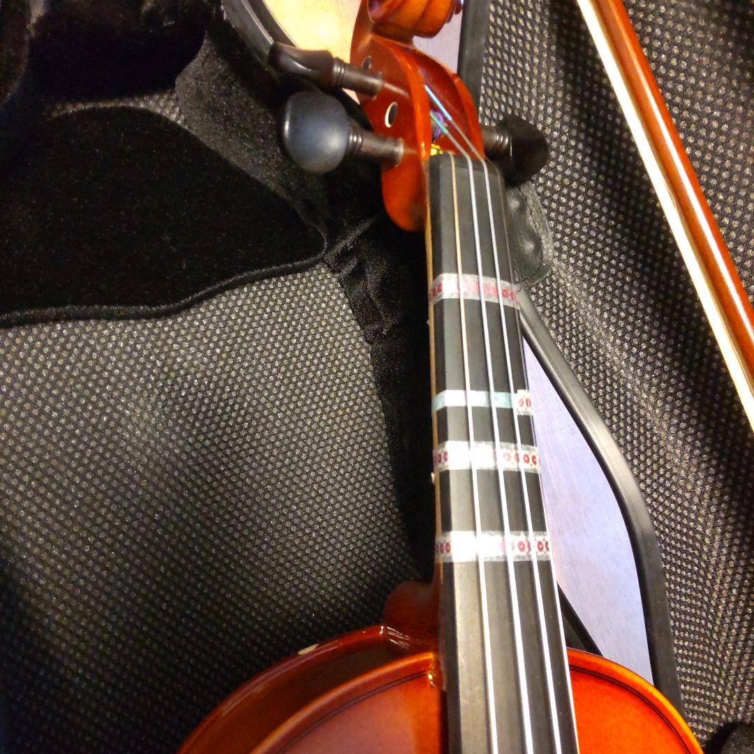 はなさん専用！バイオリン本体C.Giordanoカルロジョルダーノ木製手工芸品