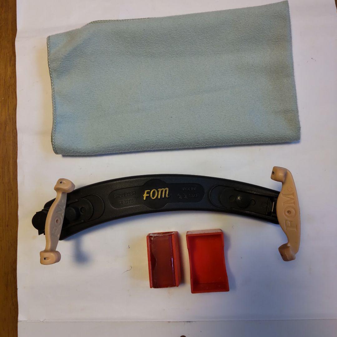 はなさん専用！バイオリン本体C.Giordanoカルロジョルダーノ木製手工芸品