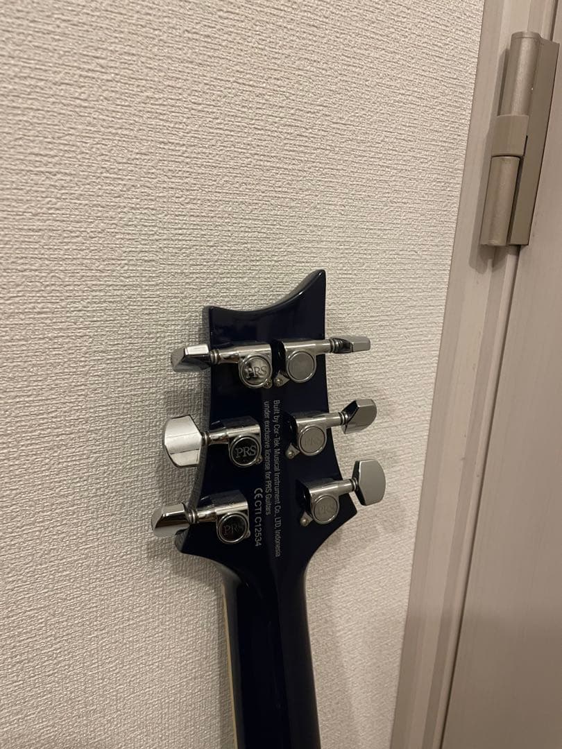 ギター Paul Reed Smith (PRS) SE STANDARD 24