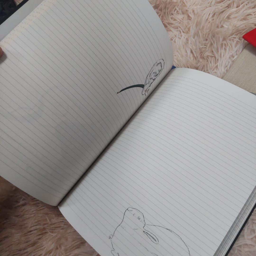 BOTTEGA VENETA 2024 Summer 地図柄