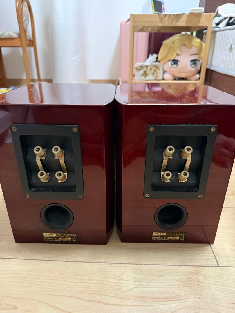 TEAC コアキシャル2ウェイスピーカーシステム S-300NEO