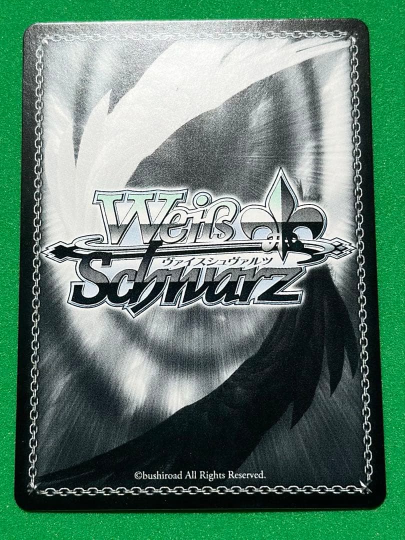 みずがき湖を眺めて あおい ssp ヴァイスシュバルツ