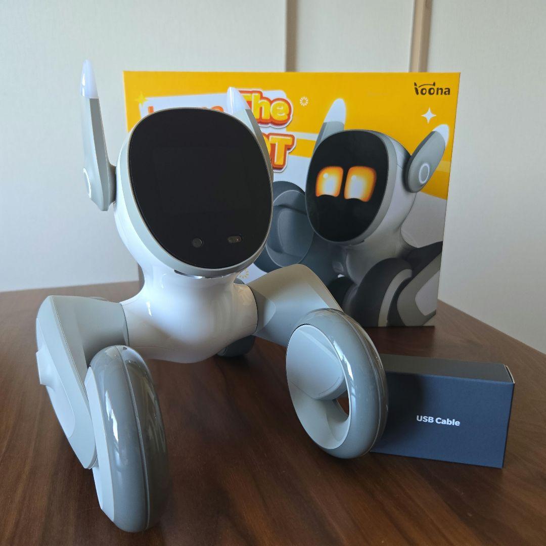 Loona ルーナ ペットロボット 箱あり