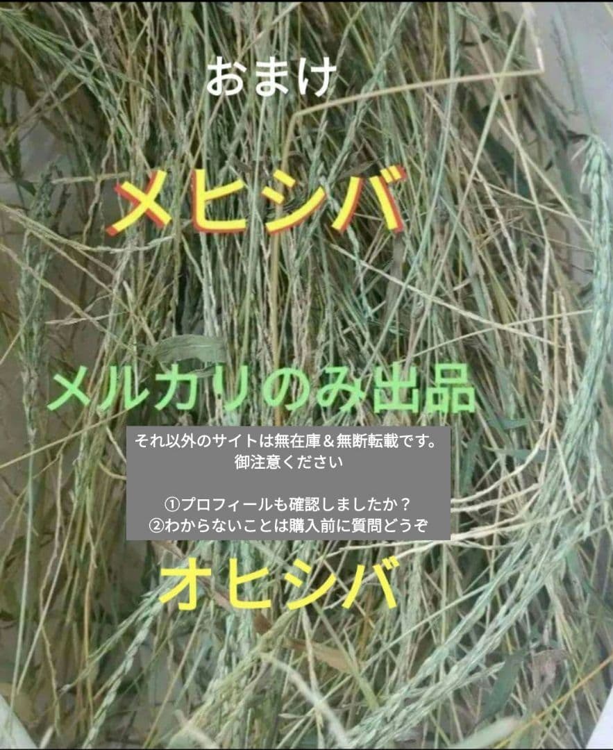 オヒシバ　メヒシバ　ブレンド