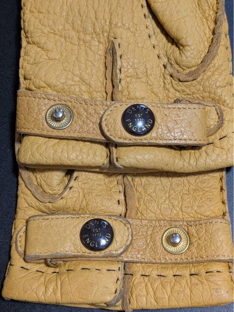 DENTS ペッカリーグローブ（カシミヤライニング）