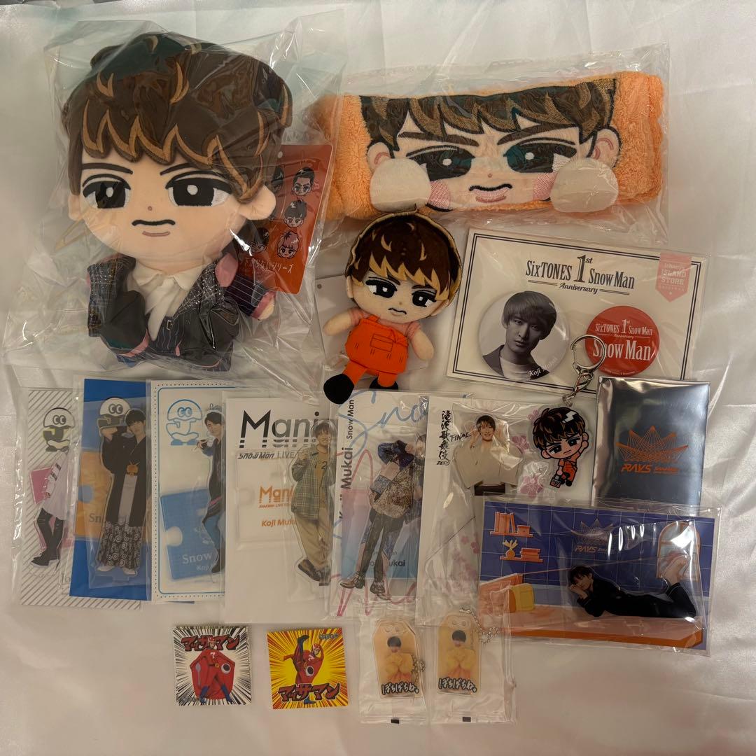 向井康二　グッズセット