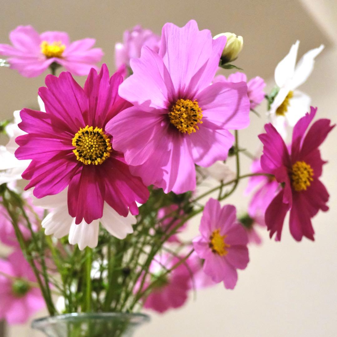 XF18mmF2 R 単焦点レンズ