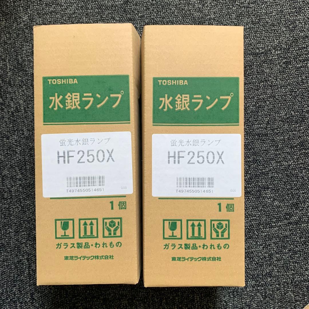 水銀ランプ HF250 2個セット