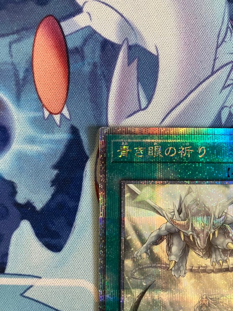 即日発送　青き眼の祈り　25th 1枚