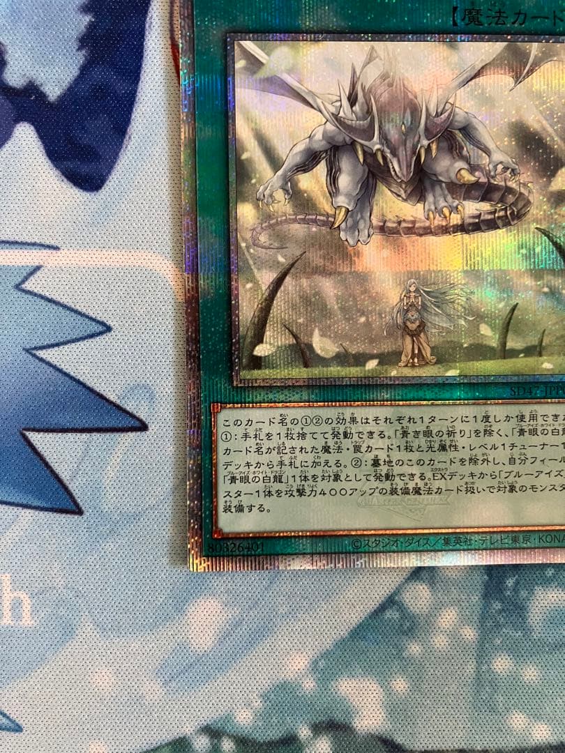 即日発送　青き眼の祈り　25th 1枚