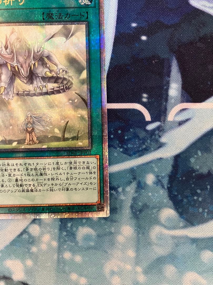 即日発送　青き眼の祈り　25th 1枚