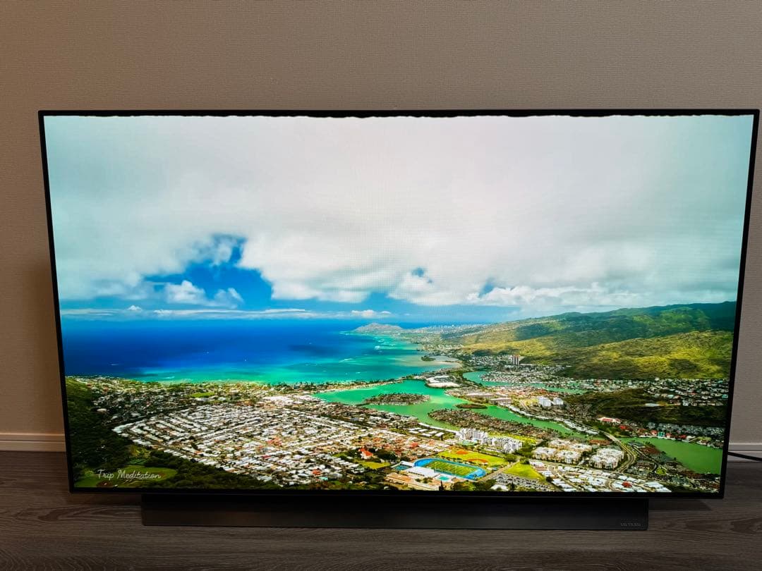 LG OLED 有機ELテレビ 2020年12月製　OLED55CXPJA