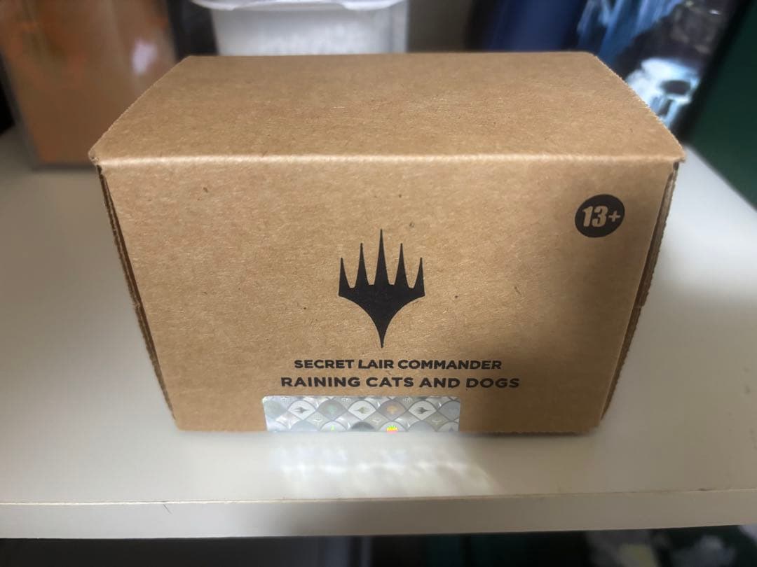 マジック：ザ・ギャザリング MTG Secret Lair RAINING CATS AND DOGS