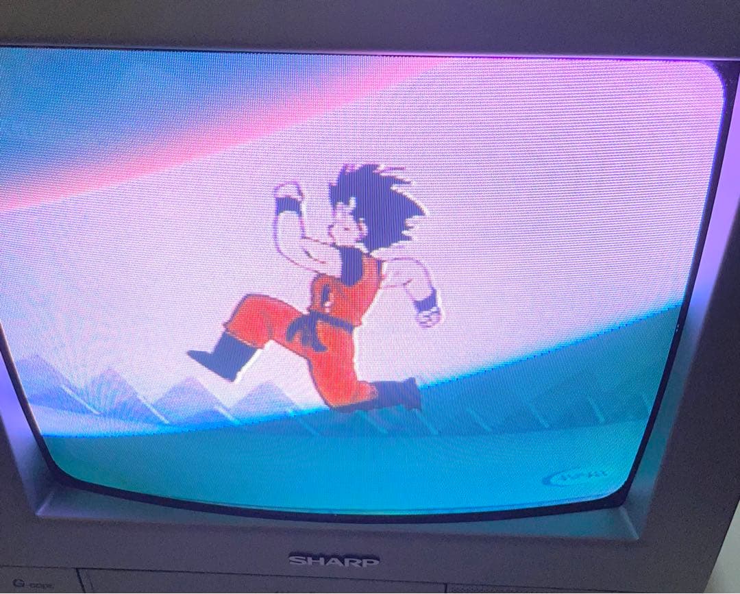 SHARP VT-14GY20 ブラウン管テレビデオ