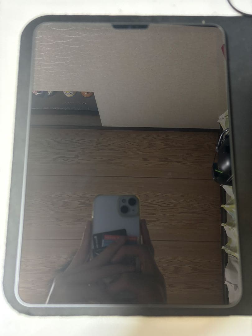 iPad Pro 11インチ 3世帯 256GB