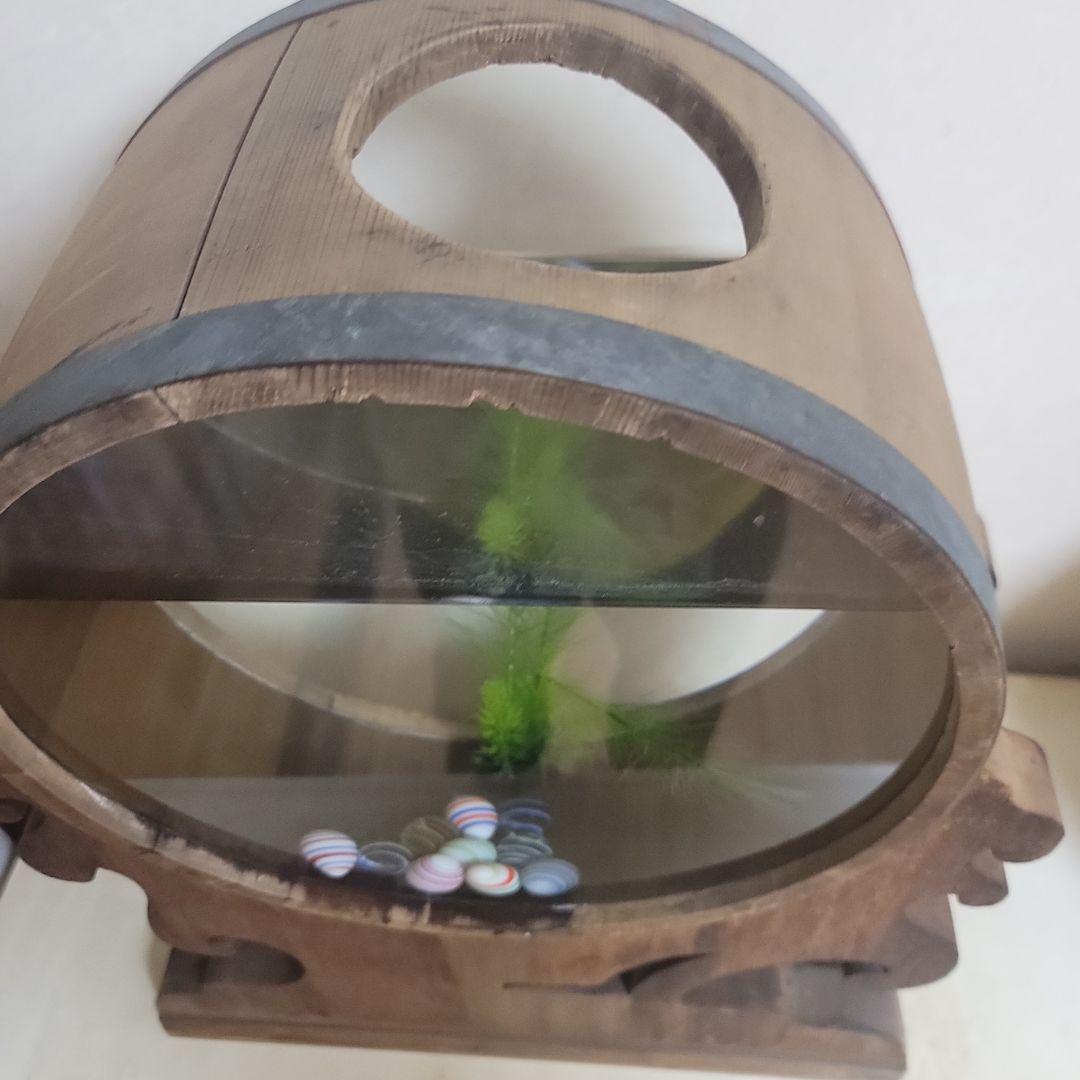 @*ー様 木製 円形金魚鉢 中型 人工水草付き