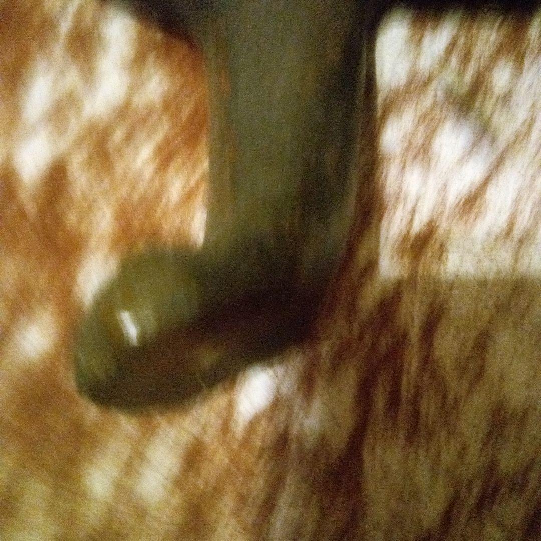 鉄ブロンズライオンの彫刻 約55cm