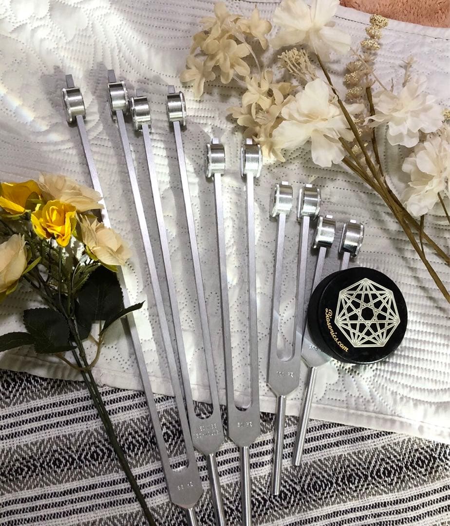 MEDIVIBE社 ボーンチューナー＋ボーンオーム 音叉 アクティベーター