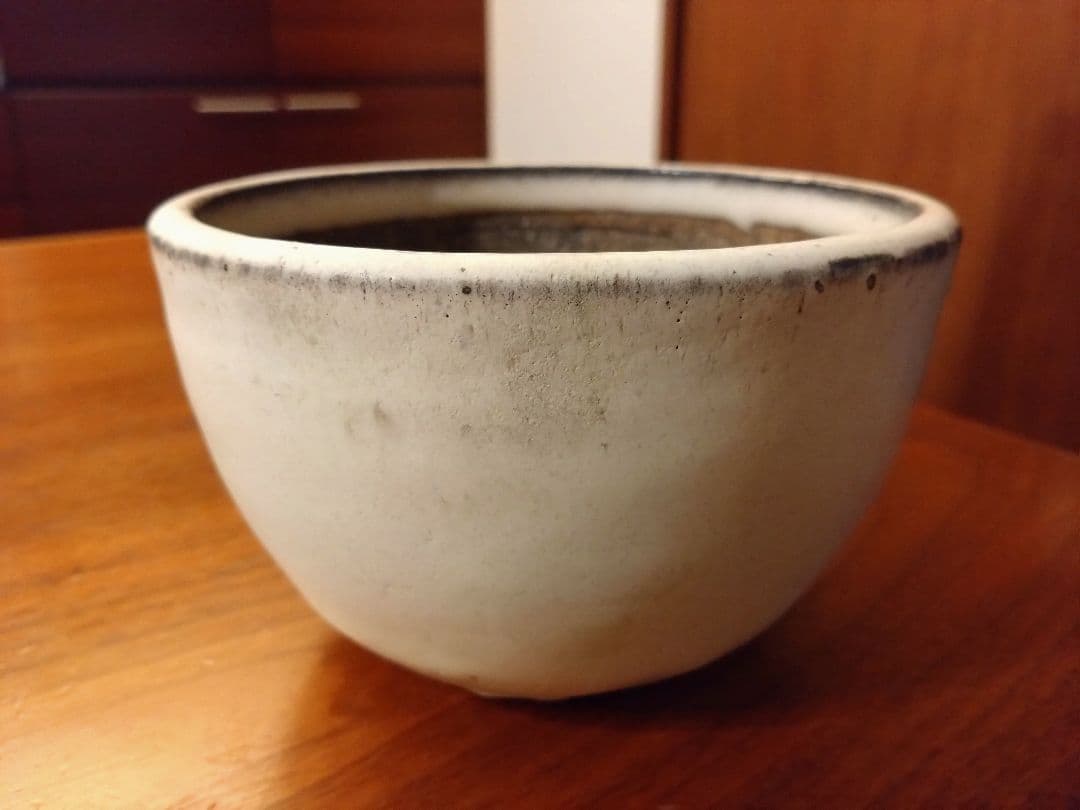 toky 大原光一 solomon 紫丹釉 Ｌsize 定価9900円