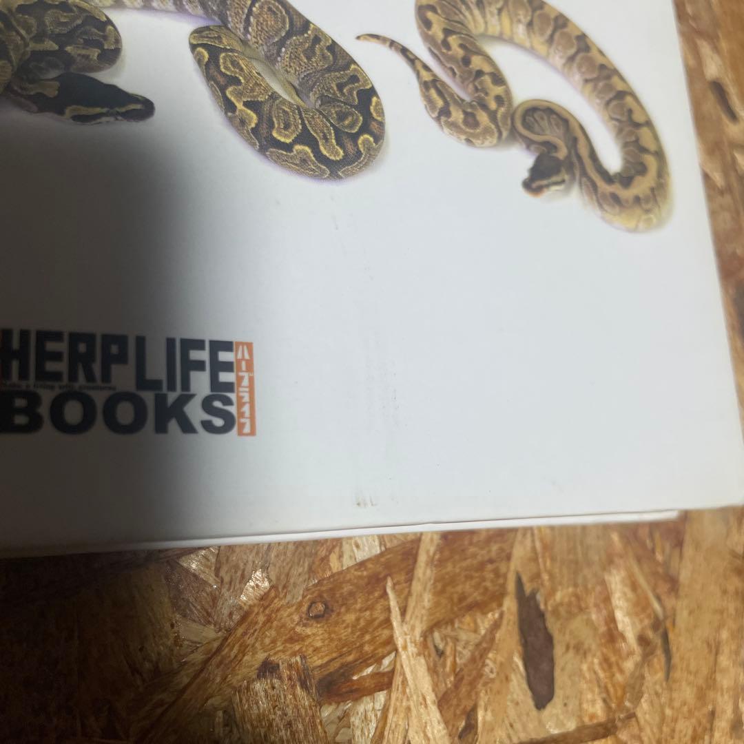 パーフェクトボールパイソン