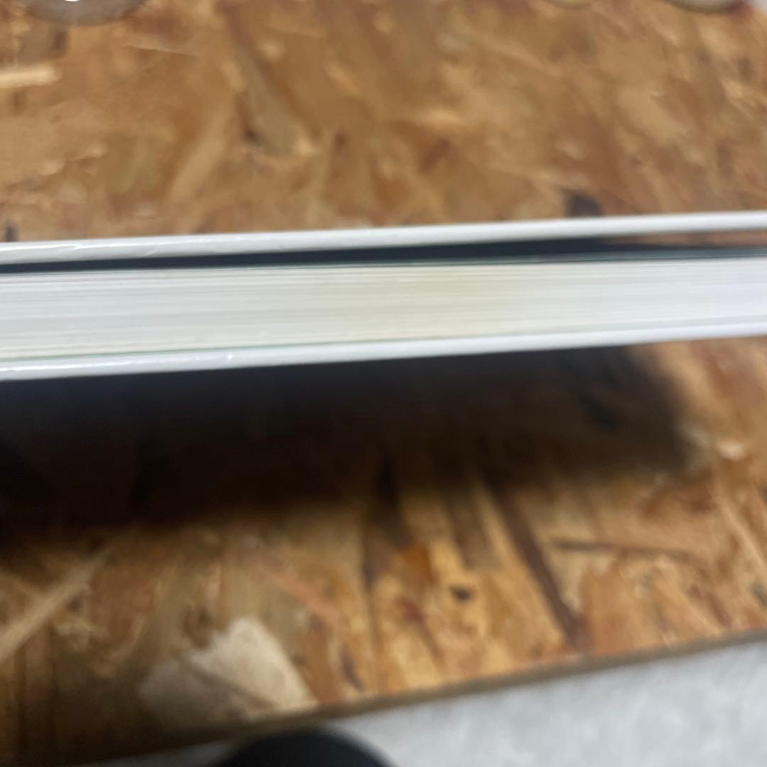 パーフェクトボールパイソン