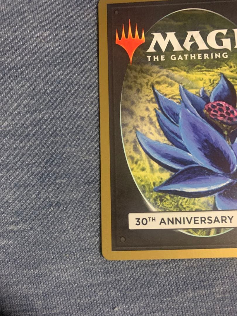 マジック：ザ・ギャザリング MTG 30th Anniversary Edition Time Vault