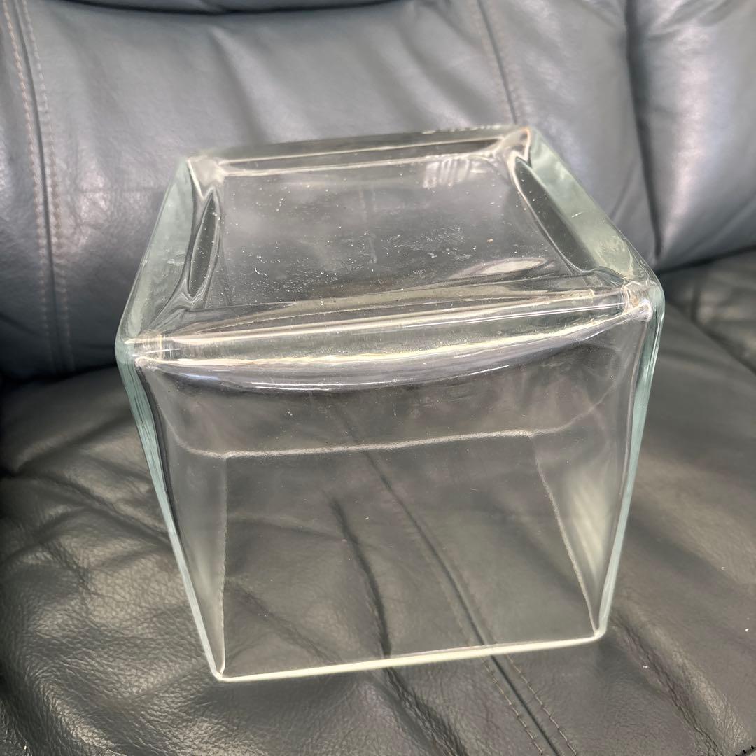 廃盤未使用 ADA Do!aqua プラントグラス 15×15×15