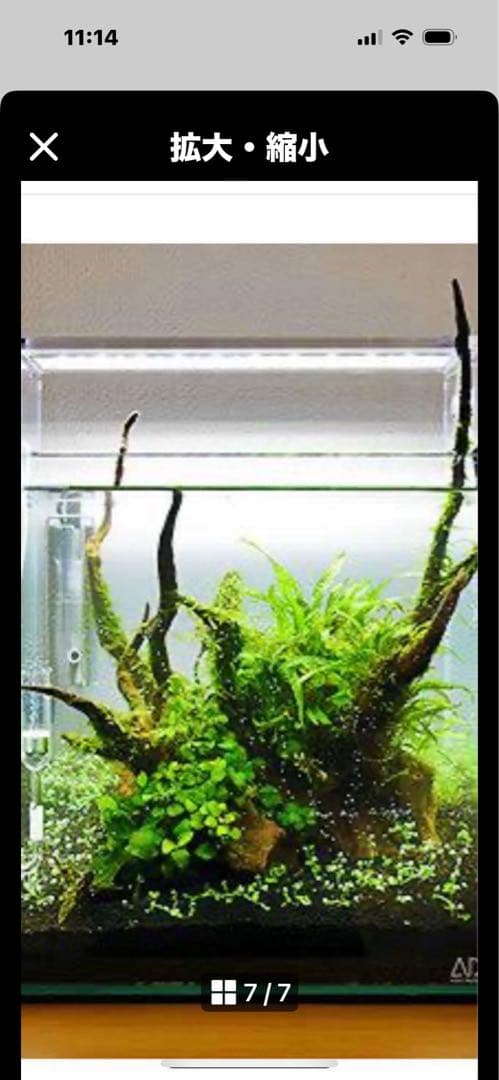 廃盤未使用 ADA Do!aqua プラントグラス 15×15×15