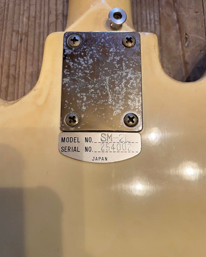 60's/1960年代/ジャパン/ヴィンテージギター/TEISCO/テスコ