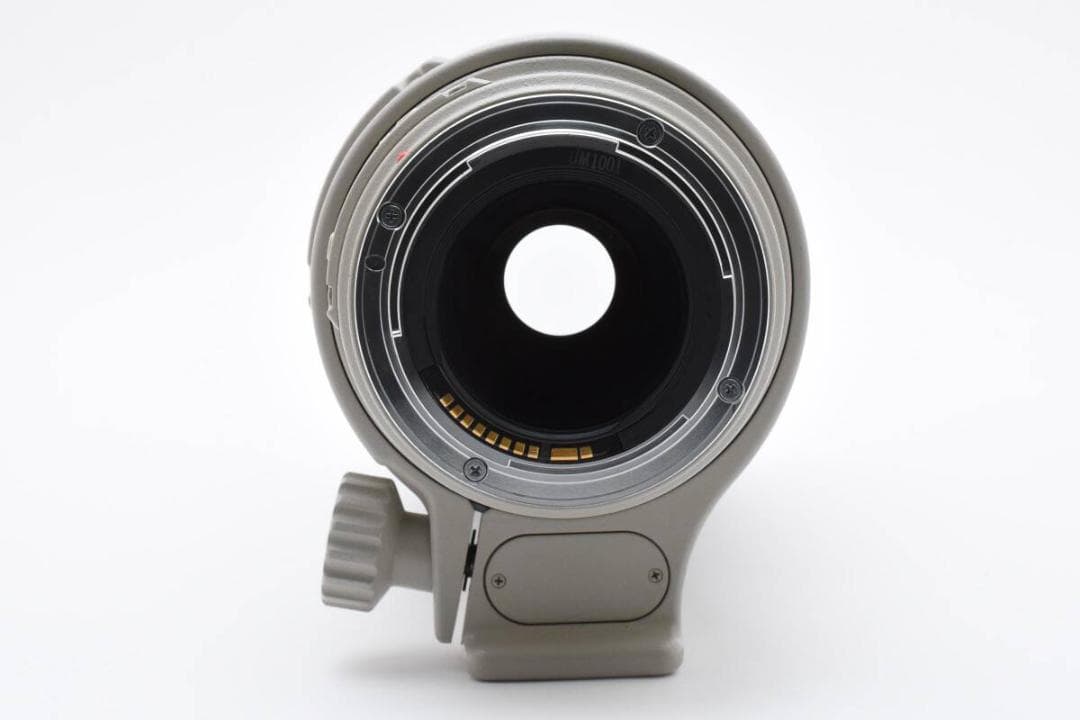 ★ Canon EF 100-400mm F4.5-5.6L IS USM