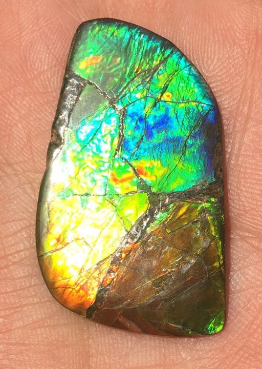 【セール】IMPERIAL アンモライト 両面レインボー レアルース