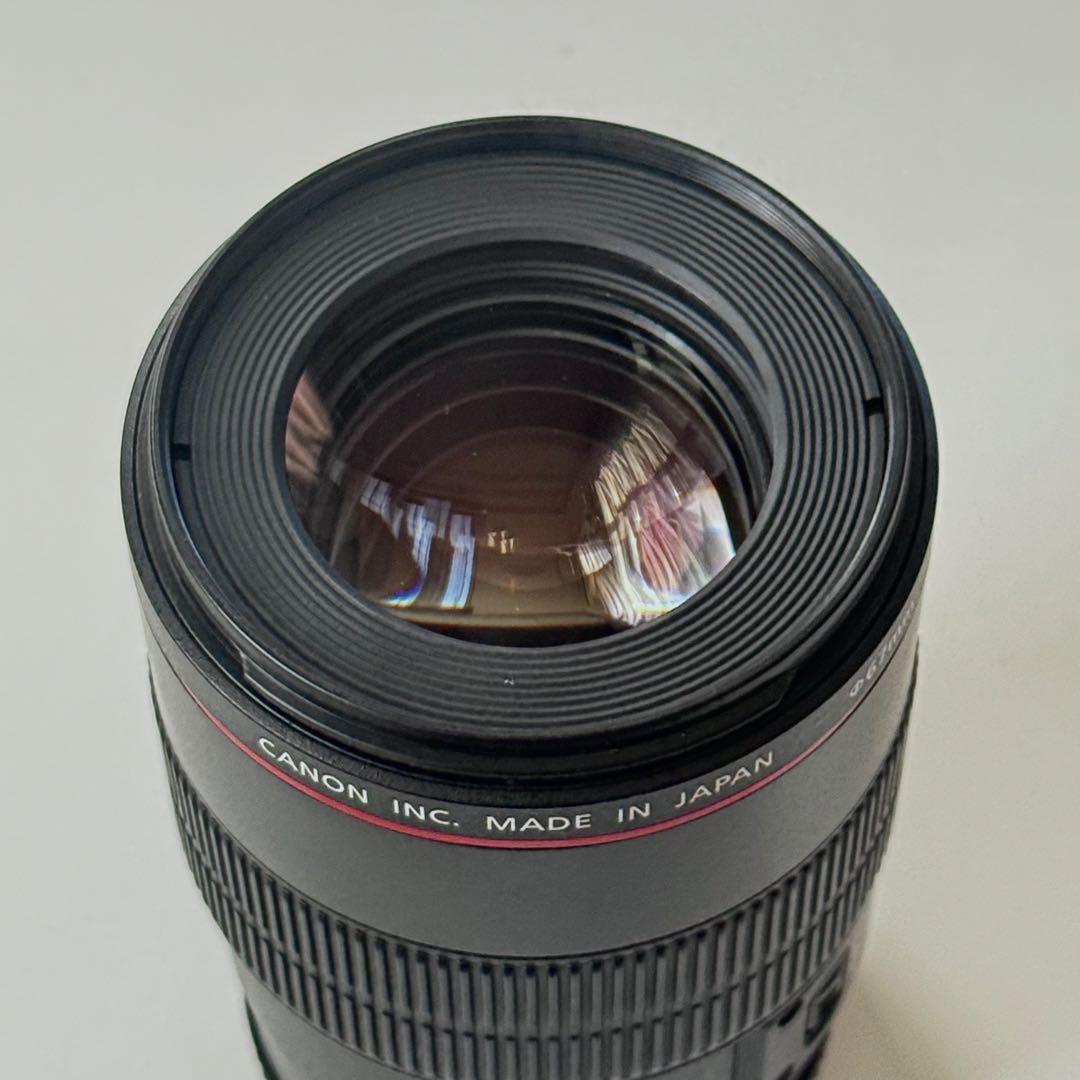 【美品】Canon EF 100mm f/2.8L Macro IS USM