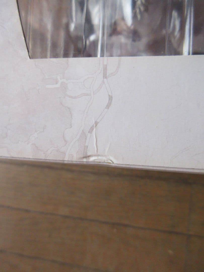 コトブキヤ 英雄伝説 創の軌跡 リーシャ・マオ 限定特典付き [新品未開封]