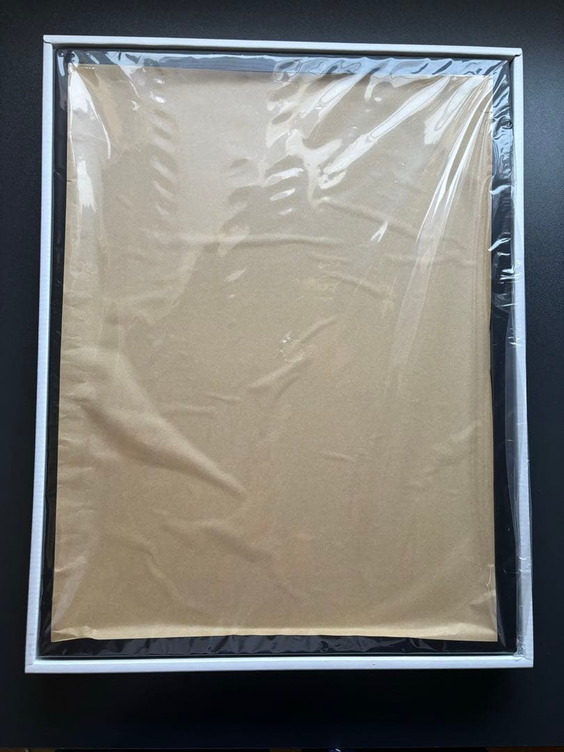 額装イラスト「陽ひらく彼女たちの小夜曲」(オーロラ加工)