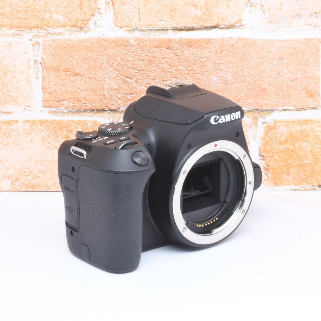 美品✨Canon Kiss X10✨超望遠レンズ✨スポーツ撮影✨推し活